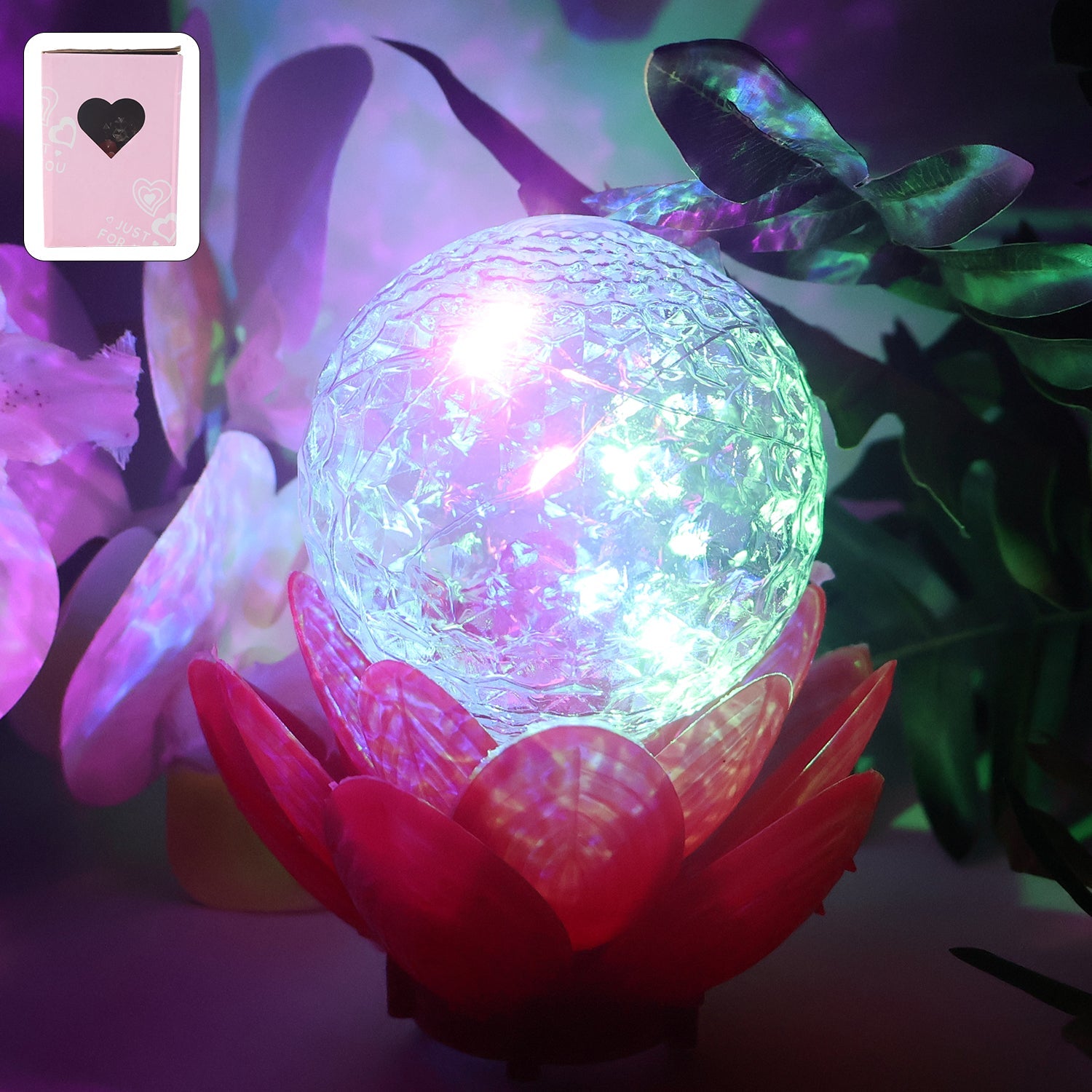 LED Decorative Accent Lamp LED Decorative Accent Lamp
